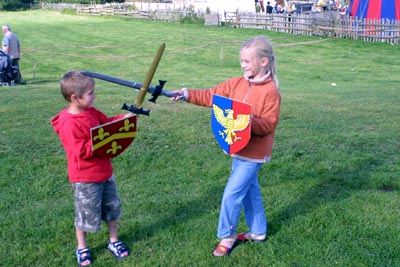 BGP360H04-COSMESTON.jpg