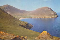 Landscape2.jpg