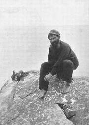Puffins2.jpg