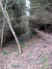 wp58690d9c.png